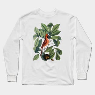 Cardinal Bird Vintage Illustration Long Sleeve T-Shirt